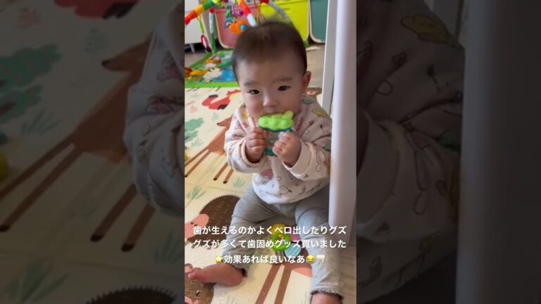 歯固め🦷#育児 #生後8ヶ月