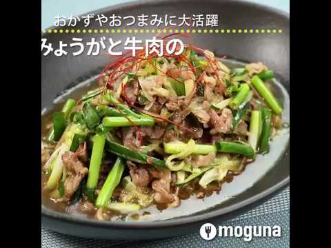 おかずやおつまみに大活躍 みょうがと牛肉のピリ辛サラダ ｜ moguna[モグナ]