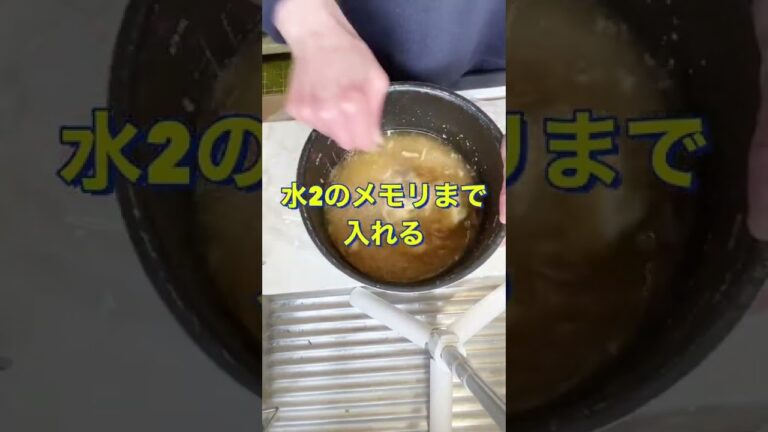 炊飯器でピラフ😍【舞茸とコーンの炊き込みピラフ】#Shorts #ひめりんご