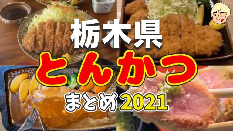 【柔らかい♡】栃木県で2021年に食べたとんかつまとめ【日光市/小山市/大田原市/那須塩原市/那須烏山市/塩谷町/益子町】