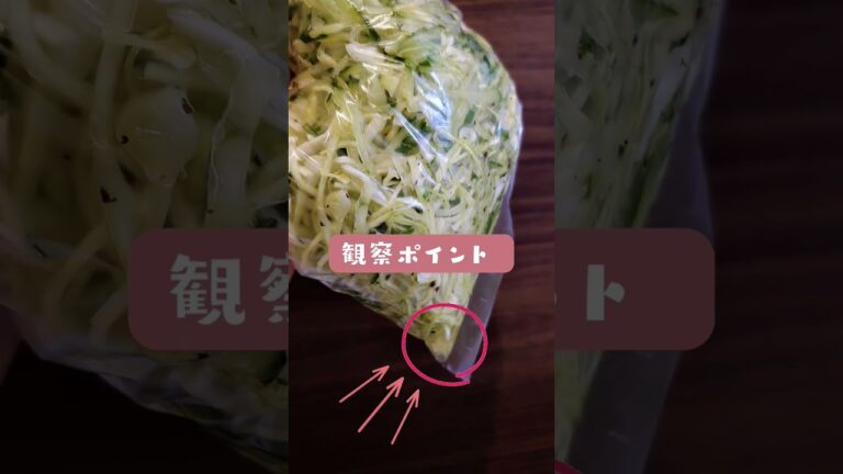 【ゆかり和え】ゆかり、すし酢、白だし全て小さじ１、キャベツ半玉で出来るよ！#キャベツレシピ #時短レシピ #簡単レシピ #簡単料理 #親子料理 #steam教育#簡単料理 #知育#親子向け #食育