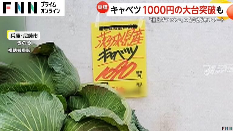 キャベツ1玉1000円の大台突破も…とんかつ店店長「豚肉より高い」悲鳴　6日にまとまった雨も農水省「当面今の状況続く見通し」