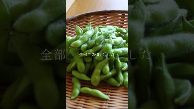 【旬野菜】枝付き枝豆　無塩　茹であげ枝豆ペペロン　#shorts