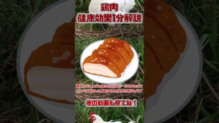 【ゆっくり解説】鶏肉の栄養を1分で解説 #shorts