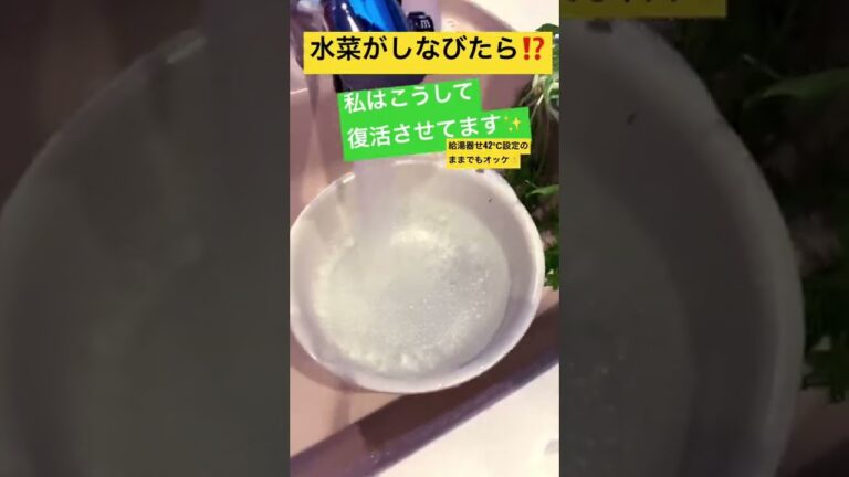水菜をシャキシャキにする#shorts  #水菜　#簡単レシピ　　 #ベジタブルマイスター#ラフ料理