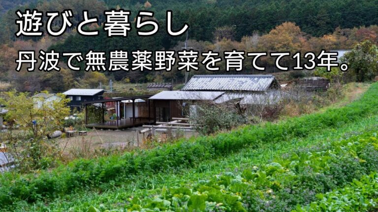 【オーガニック里山ツアー】無農薬栽培13年の野菜農家が畑の一部を案内