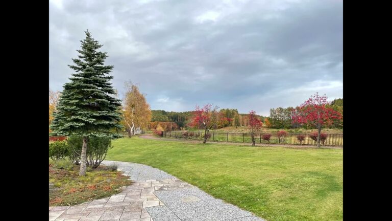 おでん食べたいけどめんどくさいときに！油揚げのたまご巾着の簡単レシピ⭐️1000人行かなかったらYouTubeやめる宣言もしました！！