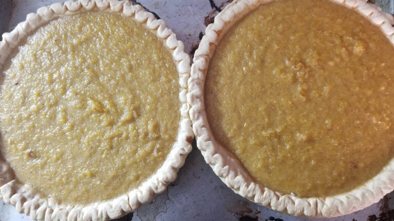 Homemade Pumpkin Pie Using last nights Jack-o-lantern!