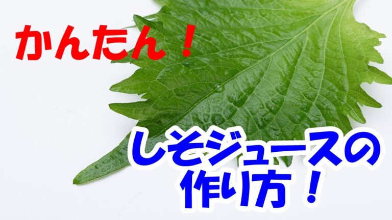 簡単！しそジュースの作り方！How to make perilla（shiso） juice！