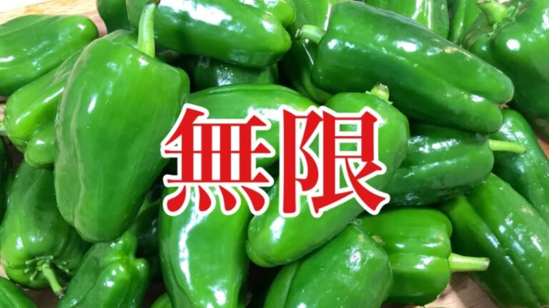 【低糖質】作り置きレシピ 無限ピーマン シャキシャキたまらない止まらない無限に食べたくなる美味しさ