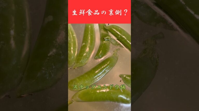 「スナップエンドウ」をアルカリ水に漬けたら変な油が浮いてきた！？みんなも一回試してみて！#shorts