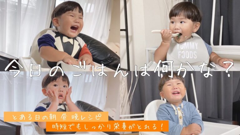 【離乳食完了期】とある日の１日ごはん【野菜ピューレを使うレシピ】【１歳4ヶ月】