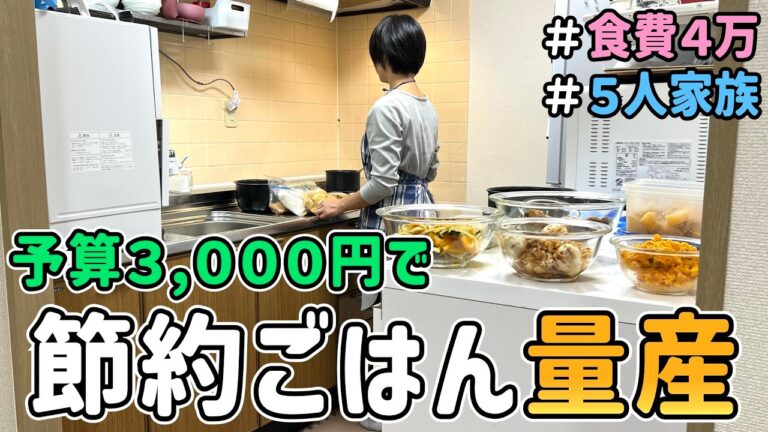 【食費の節約】節約主婦が〝予算３,０００円〟で「作り置き何品作れるか」に挑戦した結果　｜　節約生活/５人家族/食費見直し/貯金/節約レシピ