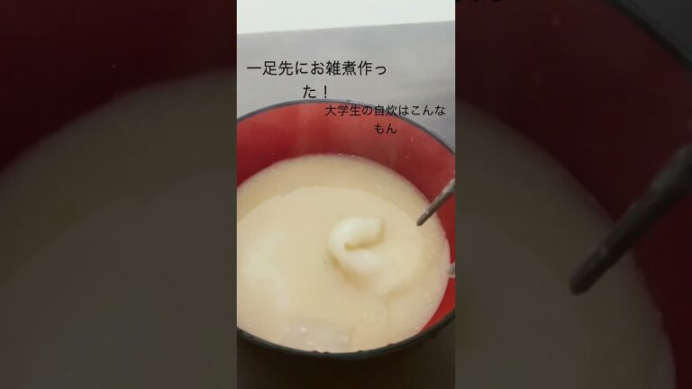 お雑煮系大学生