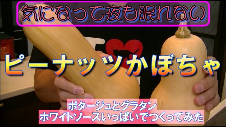【気になって夜も眠れない】ピーナッツかぼちゃをポタージュとグラタンにして食べてみた