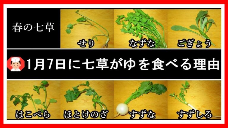 多くの人が知っている豆知識【子供さんに聞かれたら答えてあげましょう】七草がゆを食べる意味と理由・歴史などを簡単に解説する動画です！Japanese food👉#和食レシピ日本料理案内所