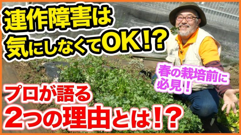 家庭菜園や農園栽培で連作障害は気にしなくてOK！？トマト、ナス、有機栽培のプロが語る２つの理由とはー  / Don't worry about continuous cropping problems