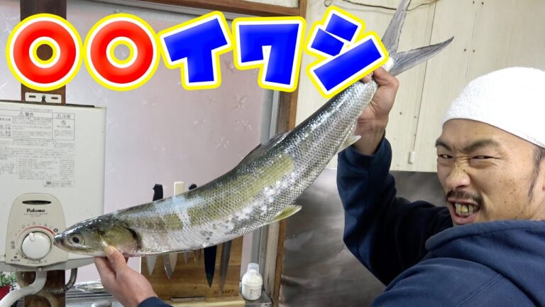 三河湾で獲れた巨大○○イワシを捌いてみたら、想定外すぎて悪戦苦闘した結果も想定外でした・・・
