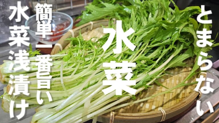 すげぇ水菜が美味くなる！とまらない水菜の浅漬け ！簡単 美肌 ダイエット 作り置き 常備菜 おつまみ 副菜  節約レシピ