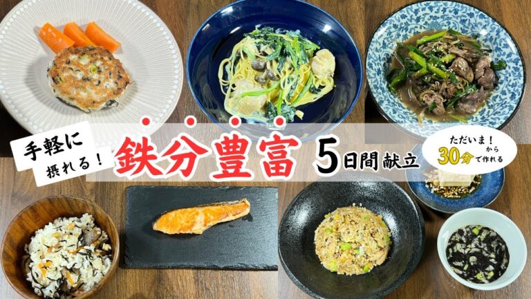 【鉄分豊富！】30分で作れる！2人分平日5日間の晩ごはん