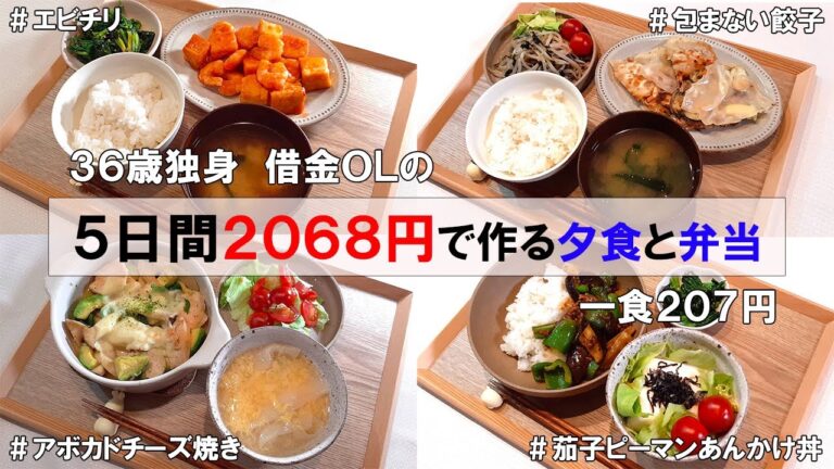 【顔も名前も知らない実父の話】食費1ヶ月1万円の一人暮らし節約ごはん／1週間分紹介／エビチリ🦐餃子🥟アボカドチーズ焼き…etc