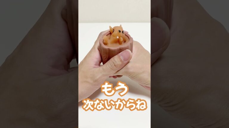 リスをイジメるとこうなる#shorts