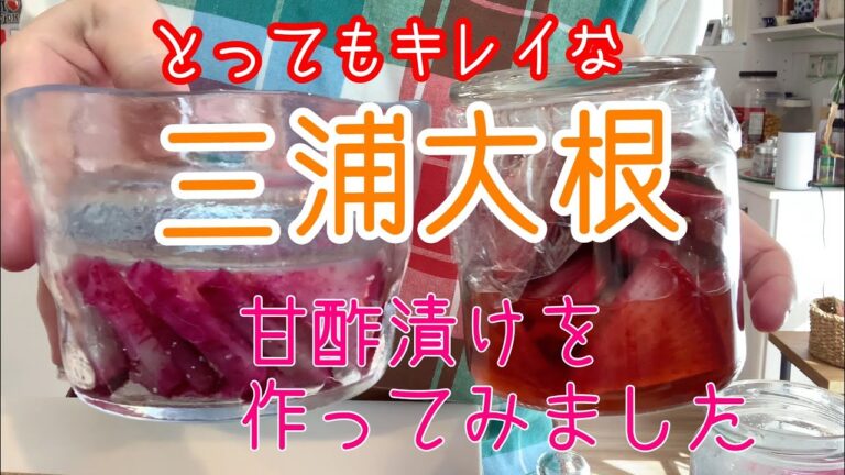 三浦大根 甘酢漬け おつまみ サラダ お勧め 季節のお野菜