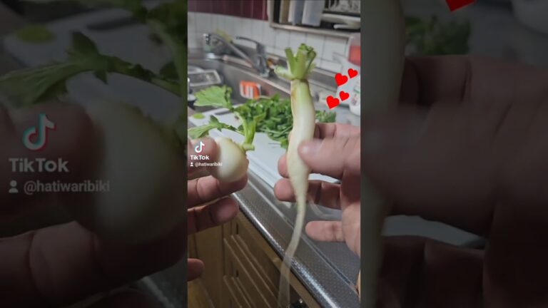 【春の七草粥】無病息災にやってごらん！1月7日！。#おかまいまい #春#春の七草粥#七草粥#料理#お粥#美味しい#cooking