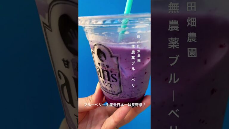 甘酒屋an's今年もやるよ！信州田畑農園さんのブルーベリーフレーバー #甘酒