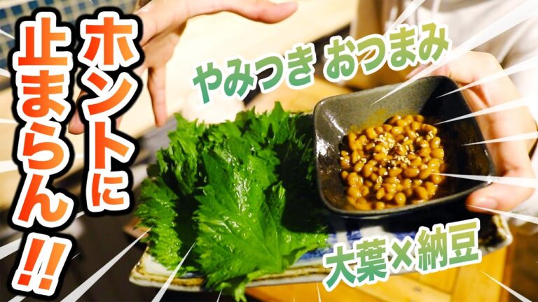 【無限食】深夜のビール＆やみつき大葉納豆で最高の晩酌