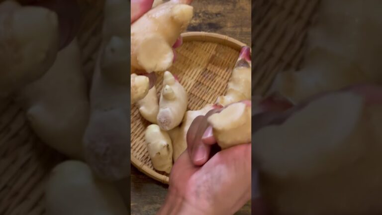 新生姜で作るご飯の親友#shorts