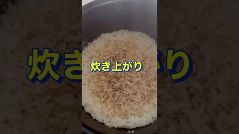 生姜の香りがたまらん🤤【桜えびの炊き込みご飯】#Shorts #ひめりんご
