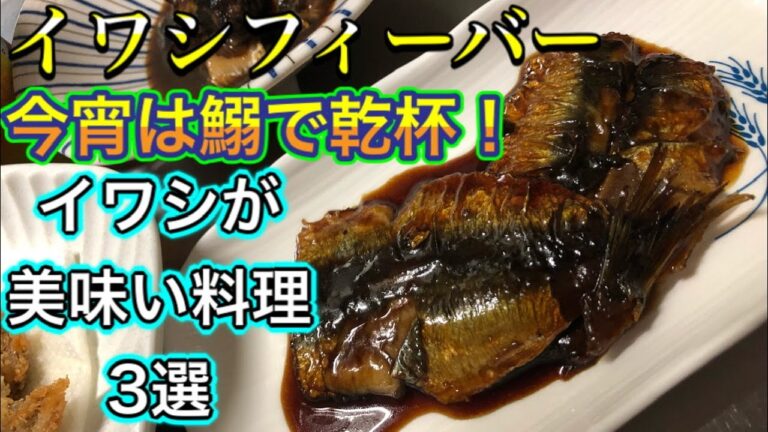 【イワシフィーバー】絶品いわし料理3選  保存方法から料理工程まで詳しく解説！ 【鰯】【魚】【手開き】【beer】
