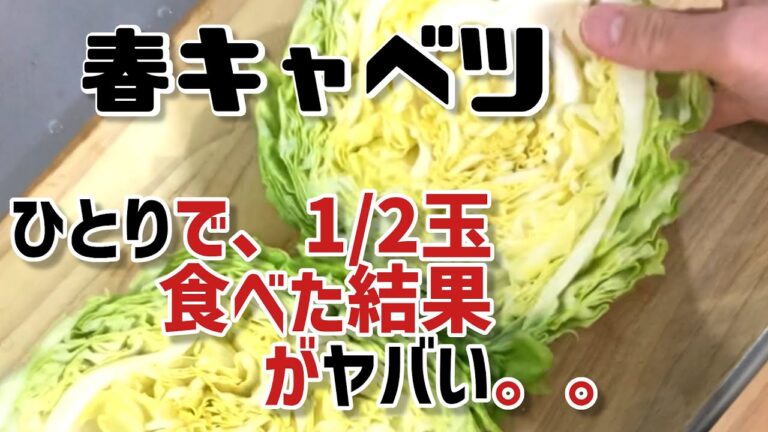 【 ひとりで春キャベツ 】 春キャベツレシピ 。茹でるだけ 。 大量消費 #Shorts