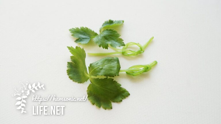 【結び三つ葉の作り方】ひと手間で作れる縁起物【お吸い物やお雑煮に】