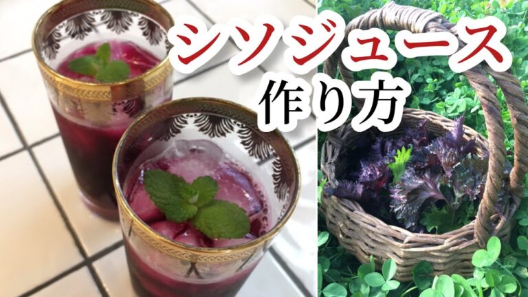 【自然療法】シソジュースの作り方レシピ【夏バテ予防/疲労回復/免疫力アップ/美肌作用】