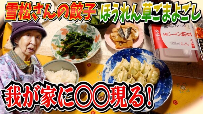 とある日の夕食 雪松さんの餃子とほうれん草のごまよごし。【本篇】