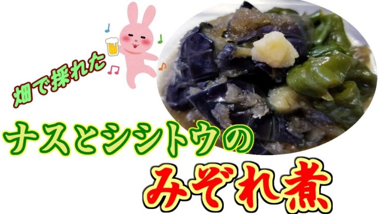 【究極のおかず】ナスとシシトウのみぞれ煮　grated Japanese radish