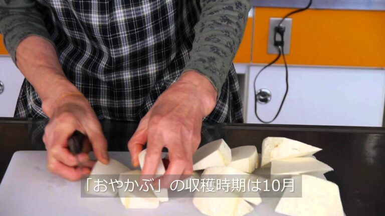 からどりの煮物