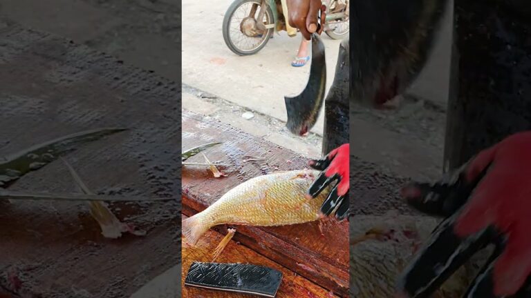 BBQ Cutting | Emperor Fish Cutting for BBQ | Best Knife Skills