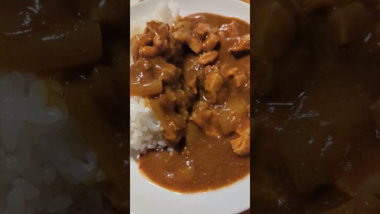 ジャワカレーチキンカレー