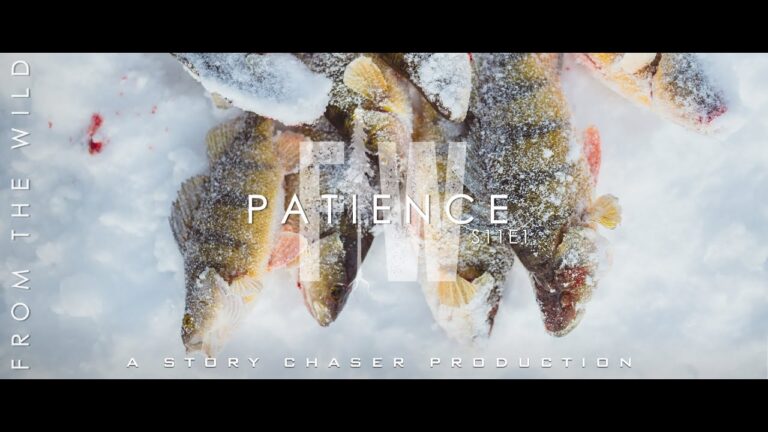 From The Wild - S11E1 - Patience