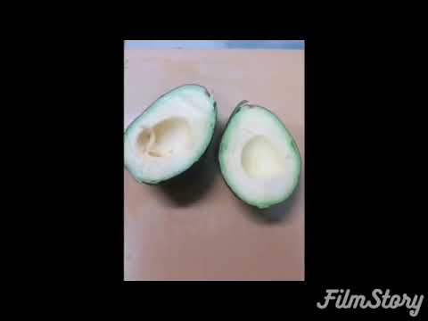 エビとアボカドの春巻き