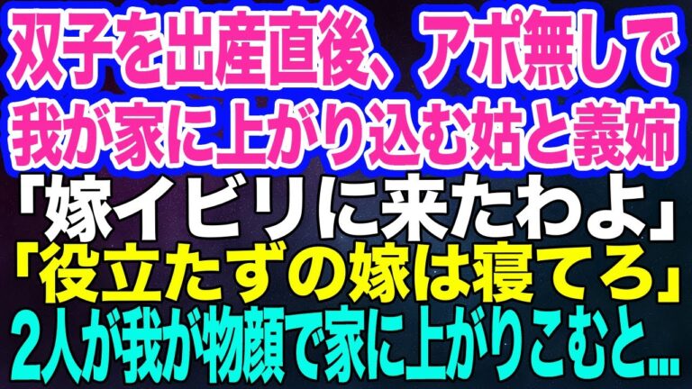双子を出産直後、アポ無しで我が家に上がり込む姑と義姉「嫁イビリに来たわよ♪」「役立たずの嫁は邪魔だから寝てろ」私「えっ？」→2人が我が物顔で家に上がりこむと…【スカッとする話】