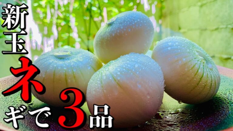 【３品シリーズ】旬の新玉ネギを使って簡単アレンジ料理作ってみた。