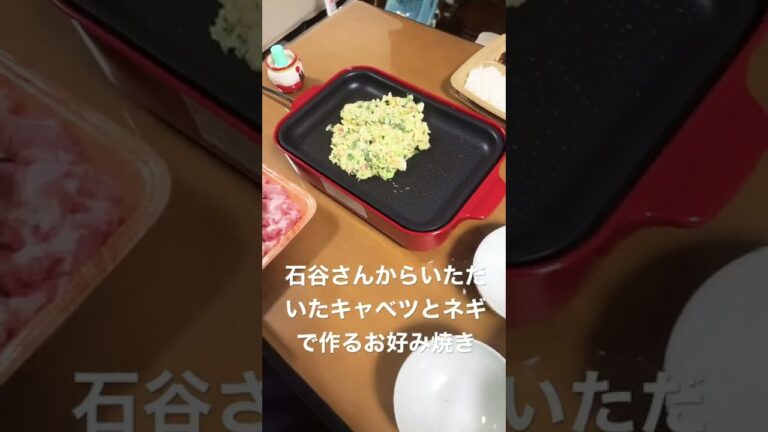 石谷さんからいただいたキャベツとネギで作るお好み焼き！