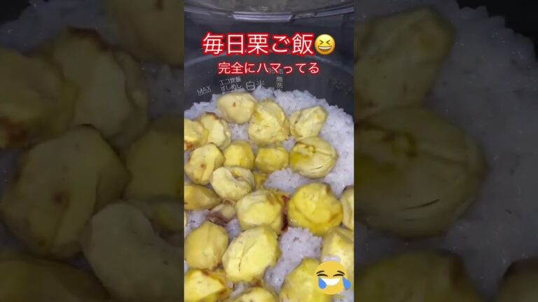 炊けました😂2023年9月13日#栗 #栗ご飯 #shorts