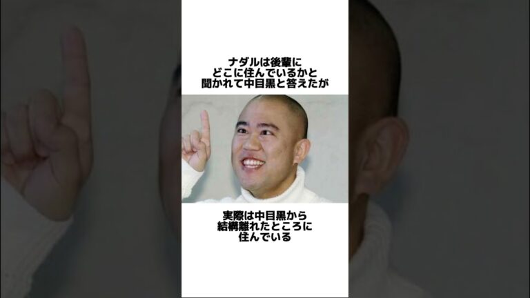 ナダルに関する面白い雑学 #ナダル #雑学 #ゆっくり解説