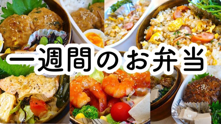 【お弁当】一週間のお弁当。レシピ付き／毎朝白けた目でお弁当を見つめる猫【bento】【猫動画】