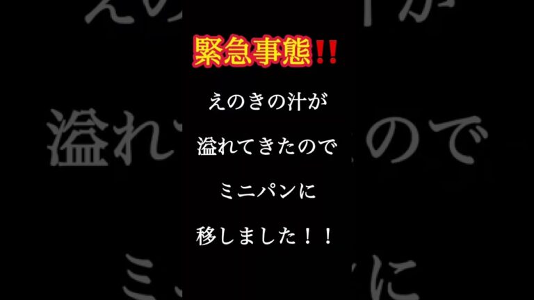 えのきではんぺんを挟んでHSMで焼く #shorts #ホットサンドメーカー